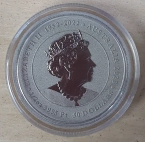 2023 1/2 oz Platinum Australian Barn Owl Coin In Capsule VERY RARE! (BM1) - Picture 1 of 2