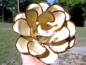 Large metal rose flower, distressed OFF white for accent embellishment, Craft 23 - Picture 1 of 5