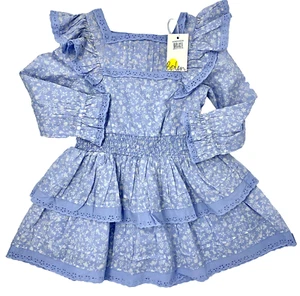 NWT Mini Boden Girls 2 3 Blue Floral Tiered Ruffle and Lace Long Sleeve Dress - Picture 1 of 14