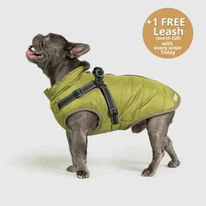 DoggyKing 3 in 1 Jacke Grün Größe XL 48 CM Brustumfang UVP 50£ - Bild 1 von 4