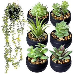 Set of 6 Artificial Succulents with Hanging Plant Fake Succulent Plants Decor - Picture 1 of 8