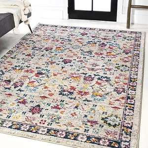 Area Rug 5x7 Modern Boho Vintage Indoor Washable Carpet Mat for Living Room - Picture 1 of 40