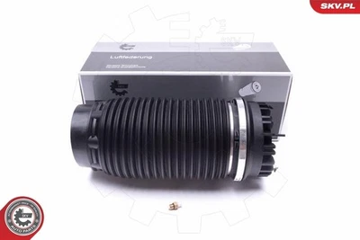 ESEN SKV Ressort pneumatique Châssis 58SKV056 pour RAM 1500 Cab Pickup DS Crew 4WD - Photo 1/4