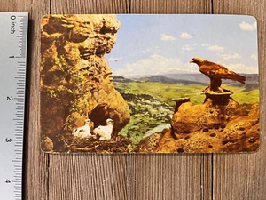 Eagle Postcard Golden Vintage Gold Eagle Colorado Postcard Denver Lithograph - Picture 1 of 2