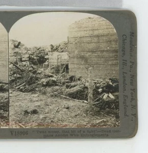 German Dead Amidst Wire Entanglements WWI Keystone Stereoview - Picture 1 of 2
