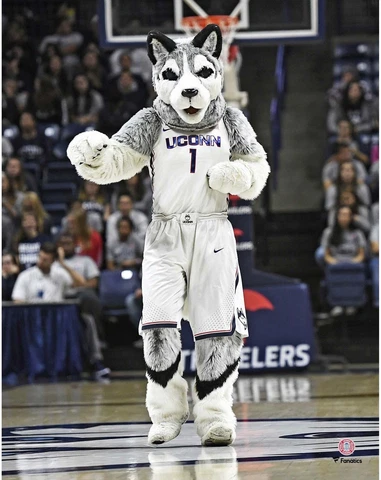 UConn Huskies Unsigned Jonathan the Husky Dancing Photograph Cover