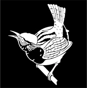 Bird Decal Wren Vinyl Backyard Birds Sticker avian window graphic - Picture 1 of 4