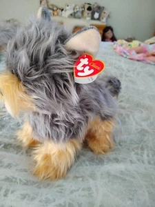 TY Classic Daisy Yorkie Dog Plush stuffed animal 2007 Puppy - Picture 1 of 4