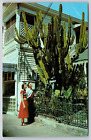 Cute Matchy-Matchy Couple Giant Cactus Duval Street Key West Florida Postcard