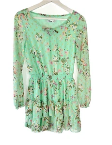 Vestido de primavera de hilos épicos para niñas con flores y mariposas transparente manga larga LG - Imagen 1 de 5