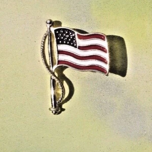 Broche Premier Designs Old Glory Bandera Americana Cuello Esmaltado Solapa Pin Nuevo de Edición - Imagen 1 de 4