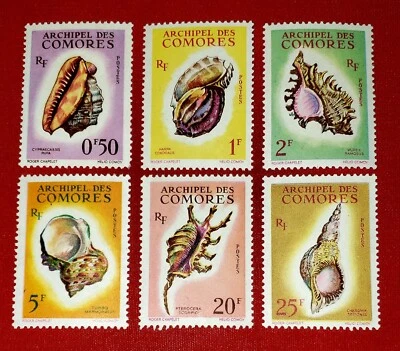 {COMORO ISLANDS- SHELLS/ Scott # 48-53/ MNH, MLH-VF/ CV $31.00/epictronic/JC} - Image 1 of 2