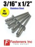Structural POP Rivets Stainless Steel- (6-4) 3/16