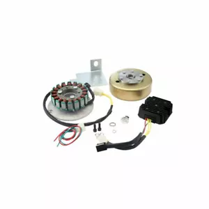 Yamaha XS650 Permanent Magnet Alternator Kit PMA Hardtail Chopper Bobber xs 650 - Bild 1 von 7