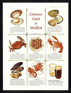 Guinness Guide To Shellfish 1953 Advert R126 - Imagen 1 de 1
