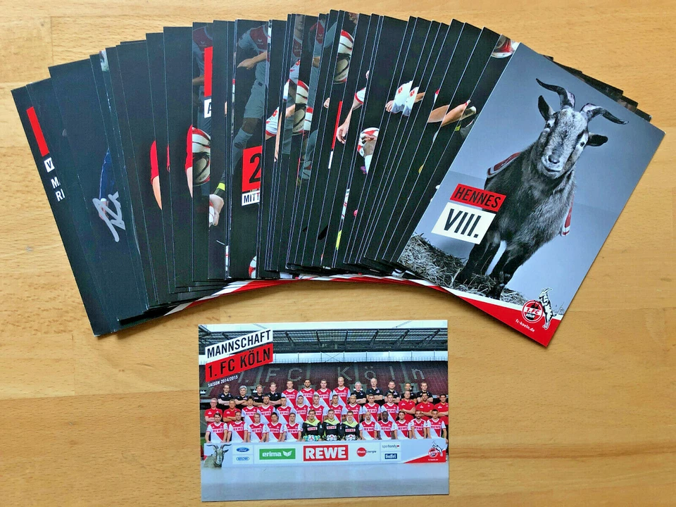 1.FC Köln Autogrammkarte 2014-15 original signiert 1 AK aussuchen