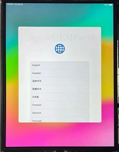 MINT 100% Apple OEM Genuine LCD Display iPad 7th, 8th & 9th A2200 A2428 A2603 - Picture 1 of 2