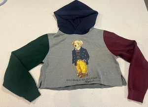 Polo Ralph Lauren Bear Hoodie Sweatshirt L Colorblock Pullover Crop Sensor Read - Picture 1 of 12