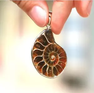 Madagascar Sea Nautilus Ammonite Shell Chain Gemstone Pendant For Necklace - Picture 1 of 6