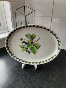 Portmeirion Fire & Ice Botanic Garden Oval Side Plates Wild Blackberry Dining  - Picture 1 of 10