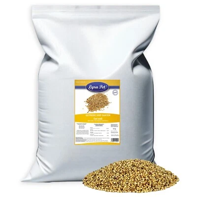 25 kg Dari weiß Vogelfutter Ergänzung Vögel Wildvögel Sorghum Lyra Pet® 25 kg - Bild 1 von 4