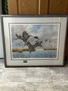 “pintails” By Charles E. Murphy With Duck stamp 252/900 - Picture 1 of 21