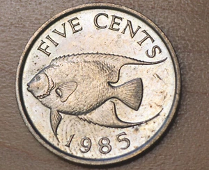 1985 Bermuda 5 Cents Blue Angelfish - Picture 1 of 4