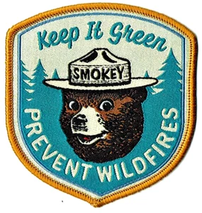 PATCH & STICKER UFFICIALE SMOKEY BEAR "Keep It Green" EZ CUCITO - NUOVO - SPEDIAMO VELOCEMENTE - Foto 1 di 3