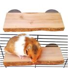 Guinea Pig Natural Rat Mouse Shelf Standing Platform Hamster Ledge Chew Toys