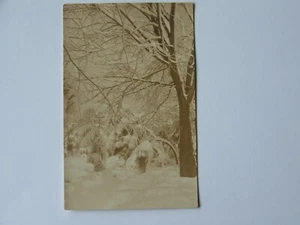 Sanford Orlando Florida FL RPPC Real Photo Early 1900's Snow - Picture 1 of 2