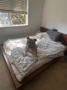 USED Ikea Queen Malm Frame + Slats LOCAL PICKUP - Picture 1 of 2