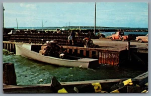Postcard Moncton NB c1960s Lobster Season Fisherman Prepare Lobster Traps Truck - Bild 1 von 2
