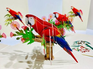 Origami Pop Cards Rosella Parrot Bird 3D Pop Up Greeting Card Mother's Day...