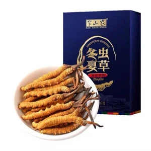 100 % natürliche tibetische Wild Ophiocordyceps Sinensis/Cordyceps sinensis Großhandel - Bild 1 von 8