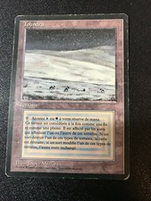 MTG Tundra! Revised French FBB! Magic The Gathering! FREE SHIPPING!