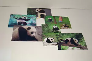BAO BAO The Panda Bear Cub #21 - Picture 1 of 1
