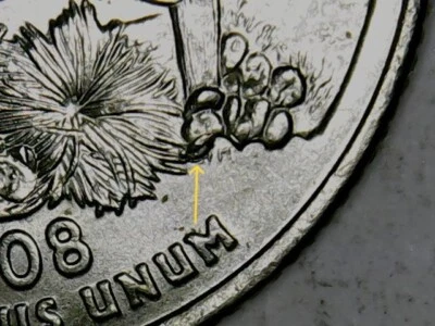 2008 P Arizona State Quarter Reverse Extra Cactus Leaf Error............a38 - Image 1 of 4