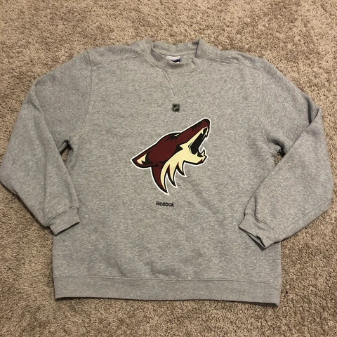 Arizona Coyotes Sweater Adult Large Gray Pullover Sweatshirt Reebok Mens U14 Cover