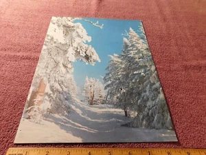 Winter Landscape Art Print from Magazine (WL-6) Vintage 1960 - Picture 1 of 2