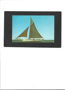 MARYLAND PC "J.T. Leonard-Oyster Sloop, Chesapeake Bay"  UNUSED   No Writing - Picture 1 of 2