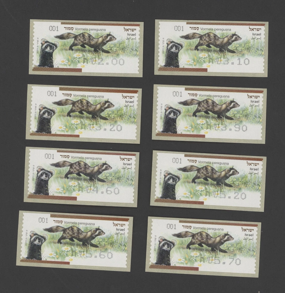 2014 Israel Marbled Polecat Set of 8 ATM Labels MNH #001 - Image 1 of 1