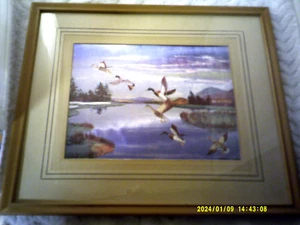VINTAGE GERAHMTER FOLIENDRUCK VON STOCKENTEN IM FLUG VON EDWARD WARD 10X12 MATTIERT - Bild 1 von 2