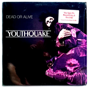 DEAD OR ALIVE - Youthquake - Vinyl LP 1985 Epic FE 40119 SHRINK HYPE STERLING - Imagen 1 de 7