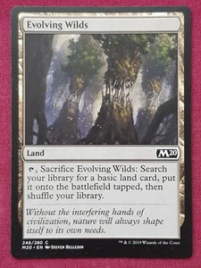 Magic The Gathering 2020 CORE SET M20 EVOLVING WILDS land card MTG - Picture 1 of 2