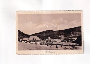F3622) ST. BLASIEN - Häuser u. Wald 1916 - Bild 1 von 2