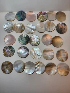 Lot Of 28- 2 Inch Shell Abalone Sea Shell Pendants Crafts No Hole blanks - Picture 1 of 23