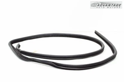 Dodge Charger 2018-2023 sello de puerta delantera izquierda resistente al clima goma OEM Foto 1 de 4