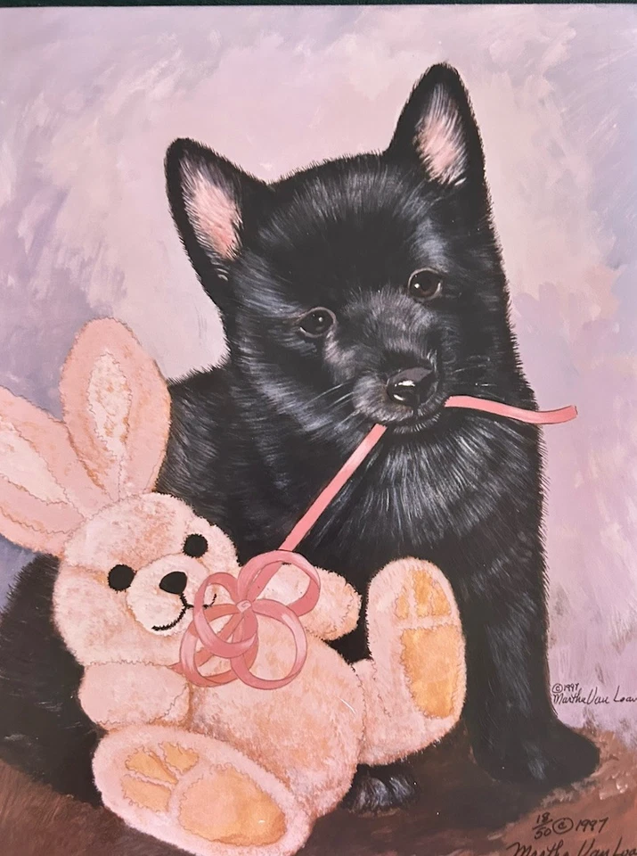 Schipperke с игрушечной цветной печатью от Martha Van Loan 8x10 с автографом - Изображение 1 из 1