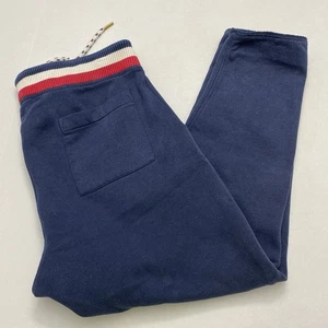Tommy Hilfiger Jogginghose Jogger BLAU gestreift Bund HERREN GR. M Taschen - Bild 1 von 13