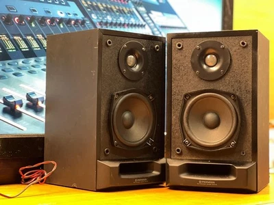 PIONEER 🌈🎵casse 2 VIE Artigianali in legno BASS REFLEX - alte prestazioni - Immagine 1 di 4